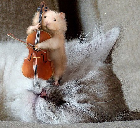 ВОЛШЕБНАЯ СКРИПКА МАЭСТРО ПАГАНИНИ! ..ДУША ЛИКУЕТ!!!  ))
